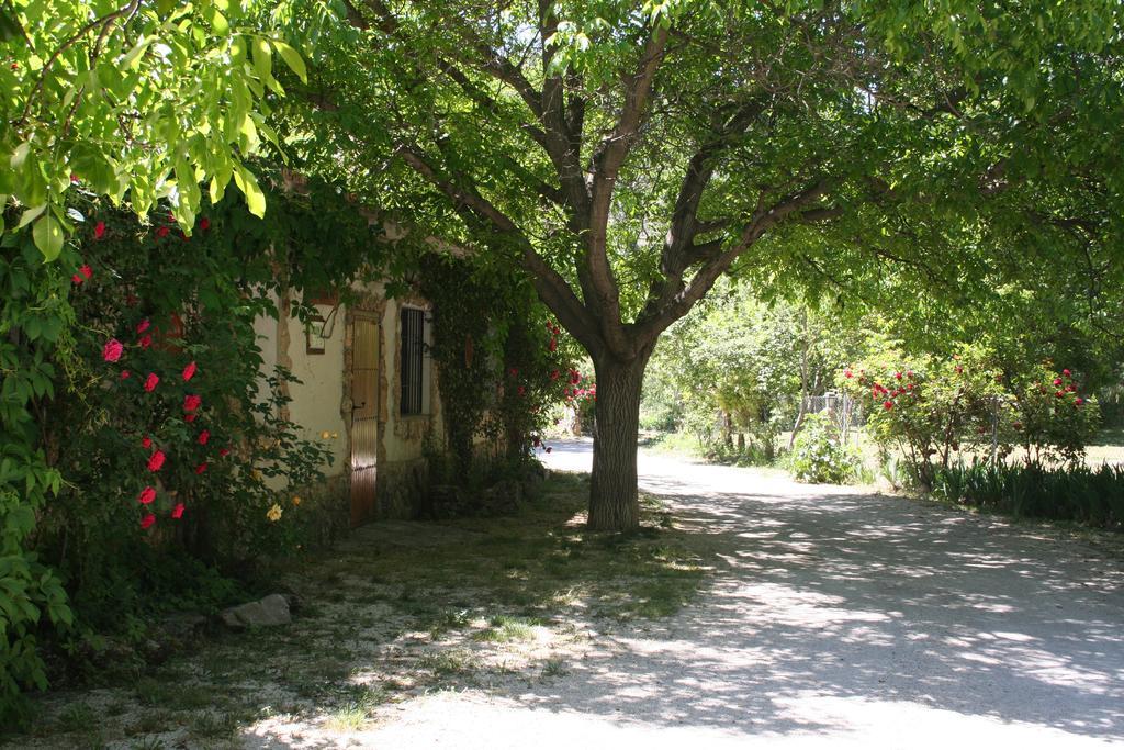 Casas Rurales Los Enebros Nerpio Exterior foto